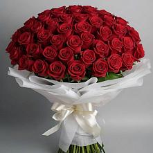 Букет 101 Красная роза Блэк Мэджик в Казанское Тюменская область