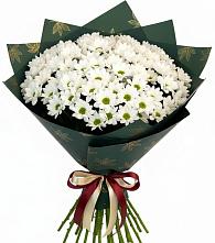 Букет цветов из:  Хризантемы в Казанское Тюменская область