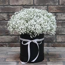 Цветочная композиция из Гипсофила в шляпной коробке в Казанское Тюменская область