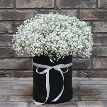Цветочная композиция из Гипсофила в шляпной коробке в Казанское Тюменская область