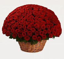 Премиум букет из: Розы #REPLACE_PRED# Казанское Тюменская область