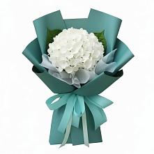 Букет цветов из:  Гортензия в Казанское Тюменская область